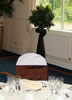 Topiary Tree Hire Bow-Belles UK